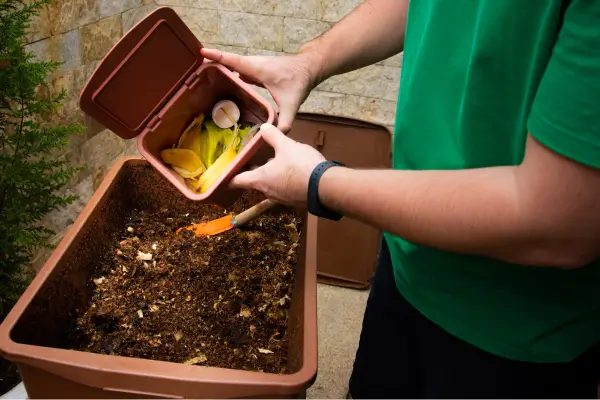 Compostagem para Espaços Pequenos e Otimização de Resíduos Orgânicos Utilizando Sistemas de Vermicompostagem